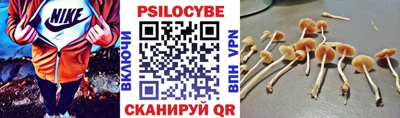 где можно купить Печора Псилоцибиновые грибы MAGIC MUSHROOMS